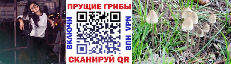 цена наркотик  Темрюк  Псилоцибиновые грибы мухоморы 