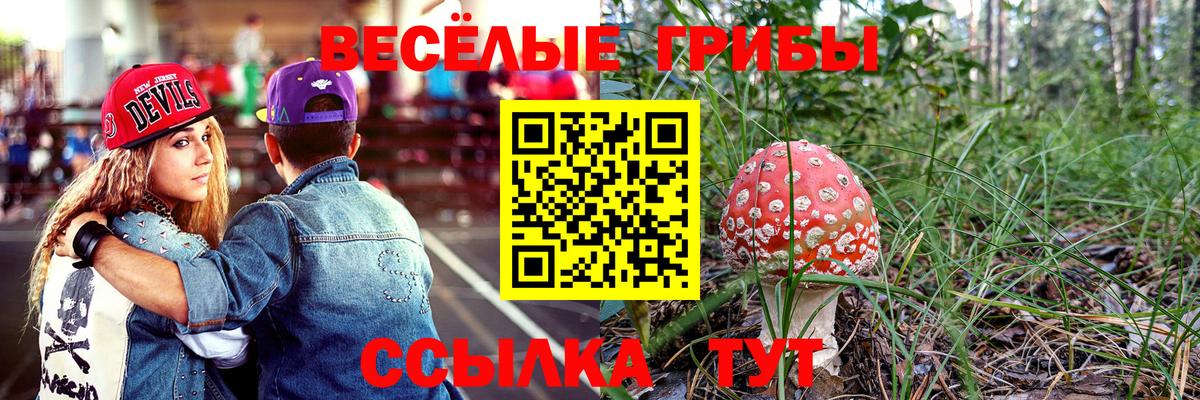 Галлюциногенные грибы Cubensis Темрюк