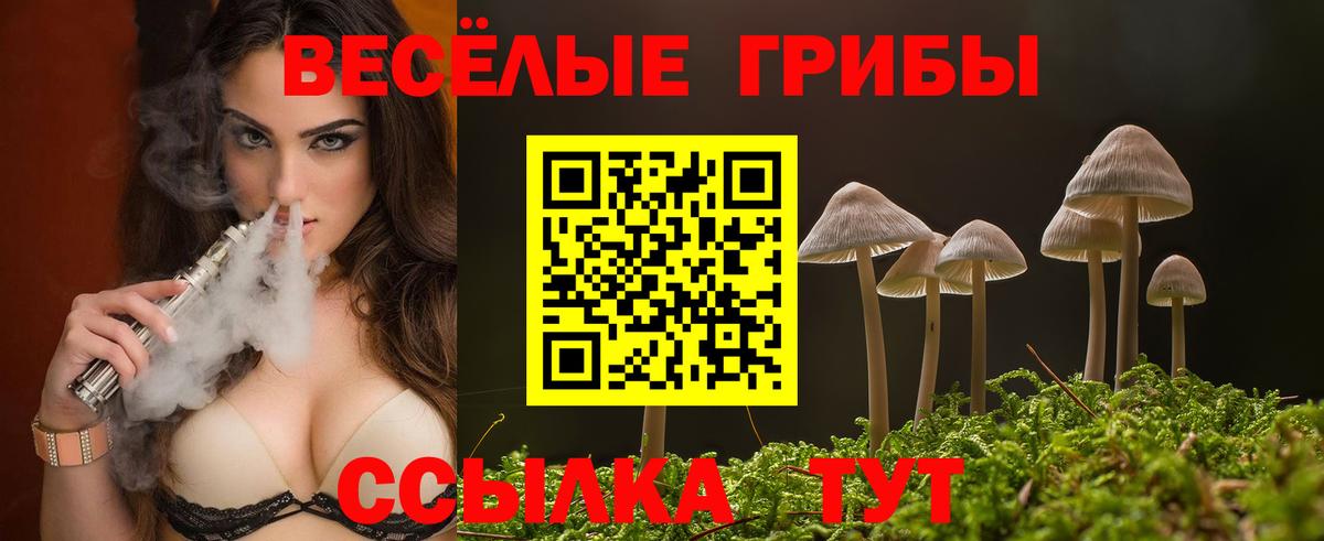 Темрюк  Псилоцибиновые грибы мицелий  Вход с VPN  Галлюциногенные грибы GOLDEN TEACHER 